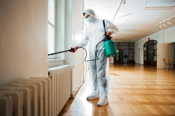 Best Pest Inspection Near Me  in Cordes Lakes, AZ