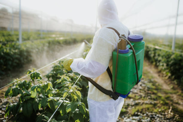 Best Cockroach Control Services  in Cordes Lakes, AZ